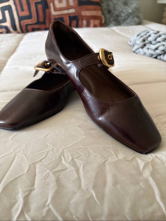 Arezzo Shoes - Classic Mary Jane Flats in Dark Brown with Gold Buckle